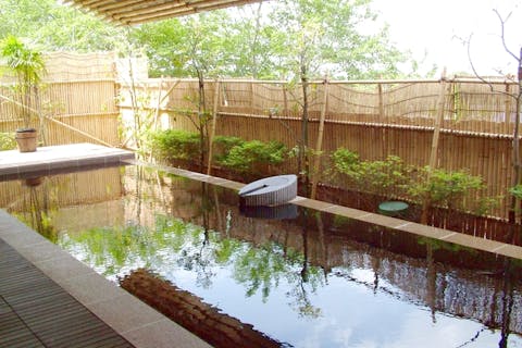 【100円割引】成田の命泉　大和の湯　入館クーポン