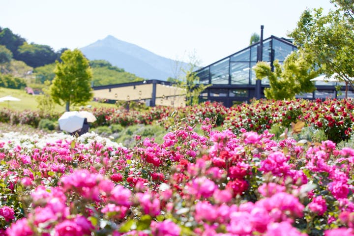 いばらきフラワーパーク