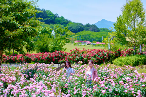 いばらきフラワーパーク 日付指定入園チケット