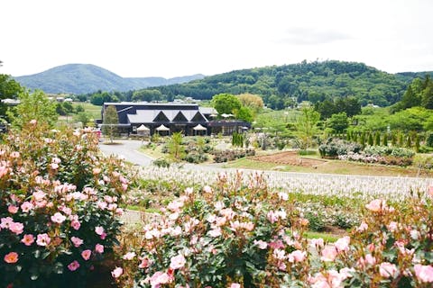 関東 フラワーパーク 植物園の遊び体験 アソビュー 休日の便利でお得な遊び予約サイト
