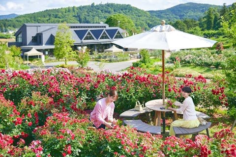 いばらきフラワーパーク 日付指定入園チケット