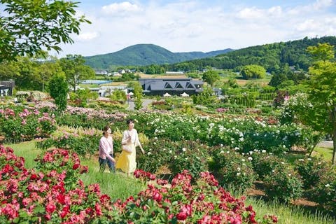 プレミアムアーリーチェックインパス