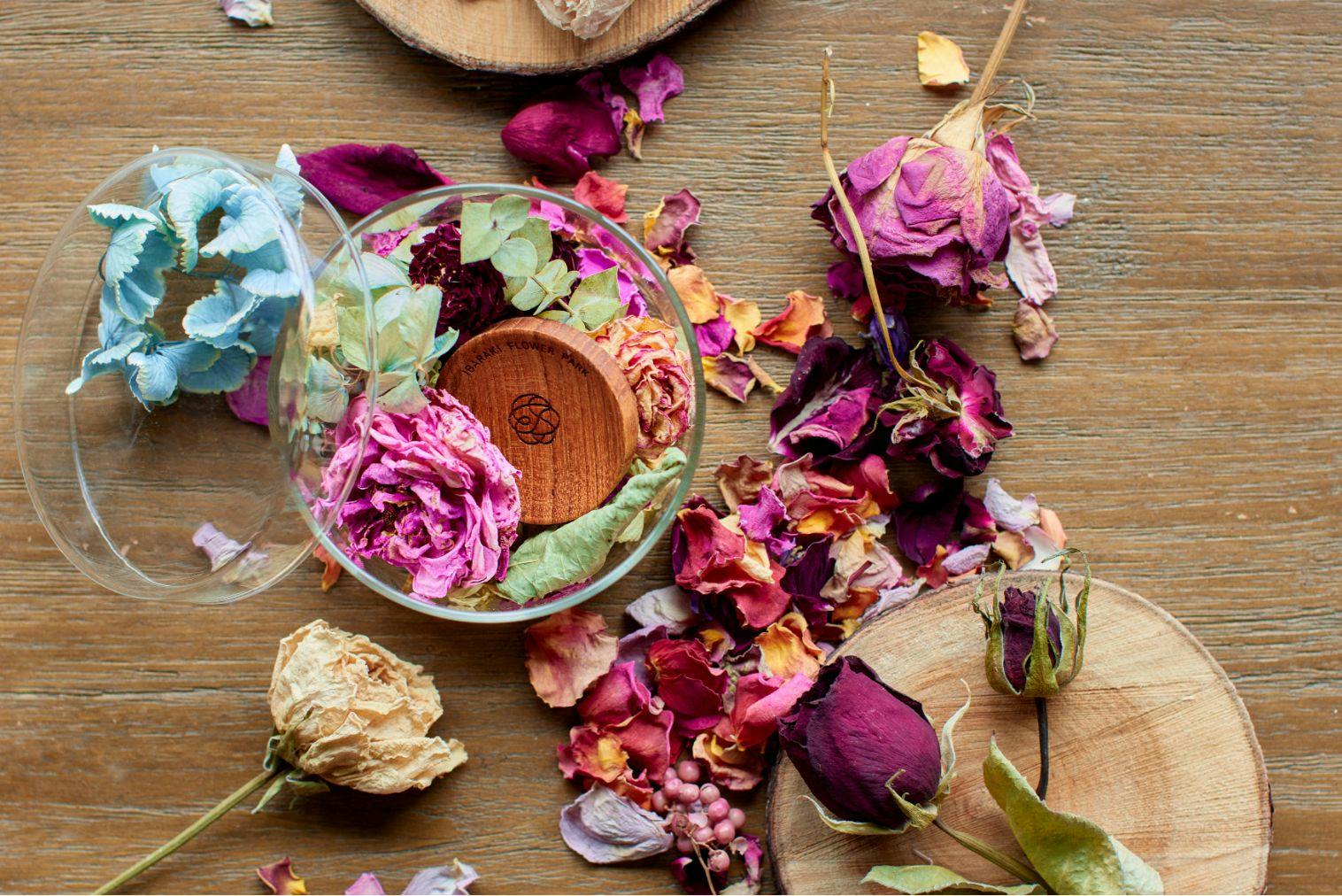 ローズファーム リトリート アクティビティプラン