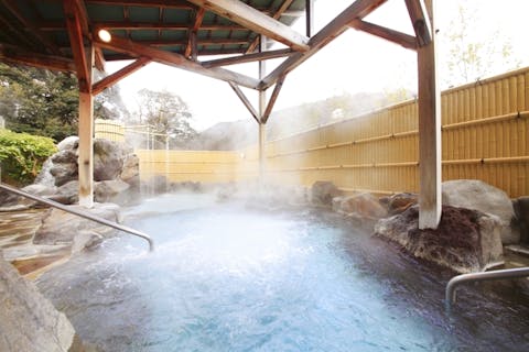 超特割！【最大12％割引】和風情緒たっぷりの温泉庭園でのんびり湯浴み「箱根の湯」入浴チケット