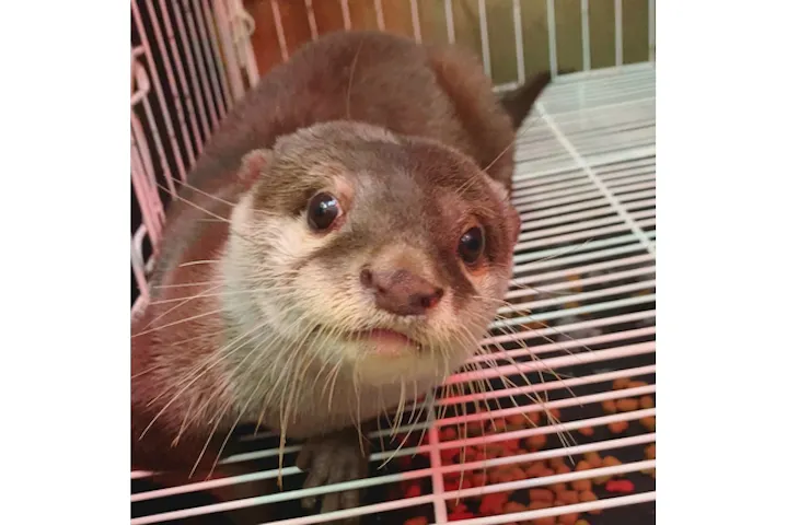 アニponワールド 割引チケット クーポンならアソビュー