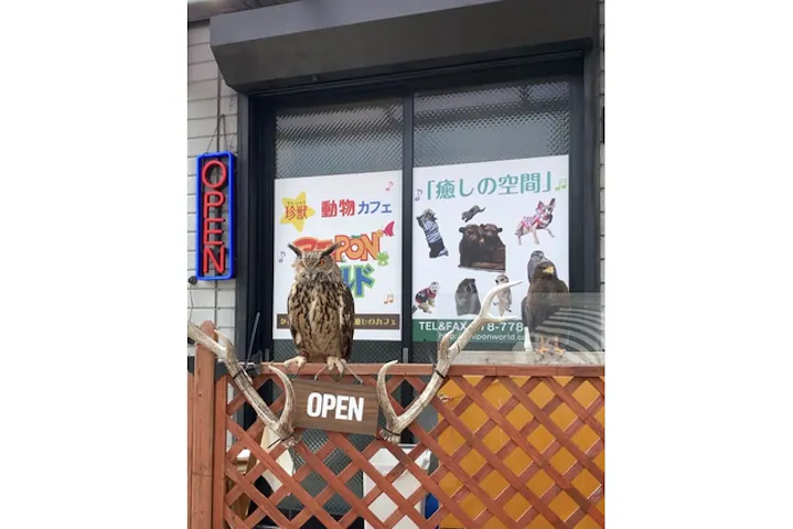 アニponワールド 割引チケット クーポンならアソビュー