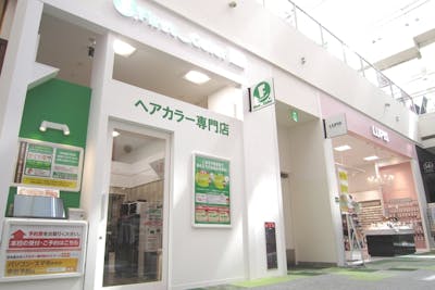 44 割引 カラー 全体染め 柏の葉のヘアカラー専門店 男女可 新規 1人1枚 3月末迄 アソビュー