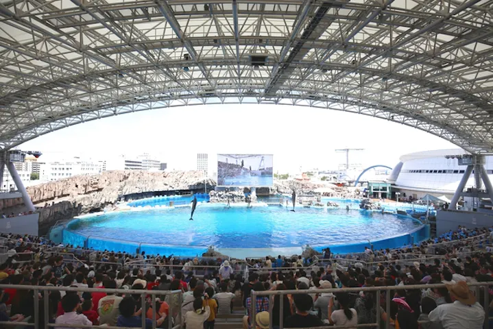 名古屋港水族館 割引チケット クーポンならアソビュー