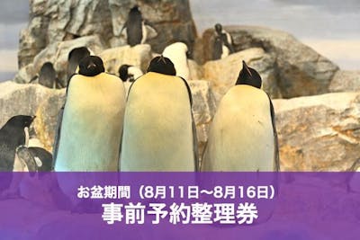 D【お盆期間予約制（8/11〜16）】名古屋港水族館 整理券（予約のみ