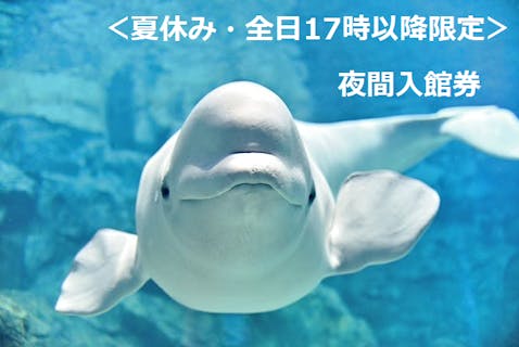 全国のおすすめ水族館 一覧 水族館の割引クーポンなら アソビュー