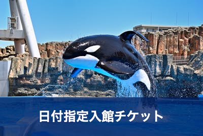 A名古屋港水族館 電子前売りチケット｜アソビュー！