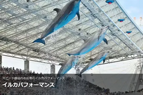 A名古屋港水族館 電子前売りチケット｜アソビュー！