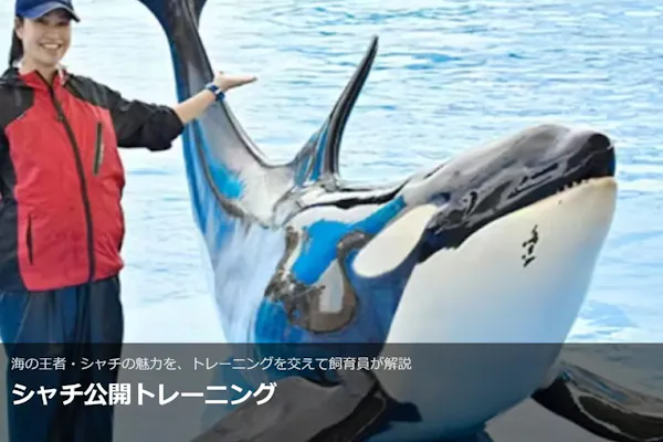 水族館 SUPER SALE【まとめ売り】 海の仲間たち｜名古屋港水族館ホームページ<公式>