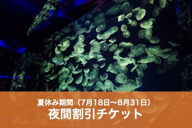 C 【夏休み期間（17時～）は割引料金で予約不要！】名古屋港水族館　夜間割引電子チケット