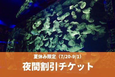 C 【夏休み（7/20-9/1）】名古屋港水族館 夜間割引（17:00～）電子チケット｜アソビュー！