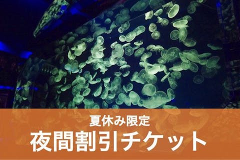 C 【夏休み（7/22～8/31）】名古屋港水族館　夜間割引（17:00～）電子チケット