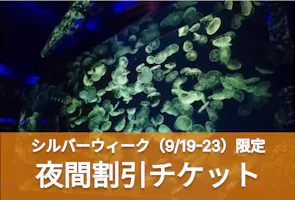 C 名古屋港水族館 夜間割引チケット（17:00-20:00）【指定期間限定