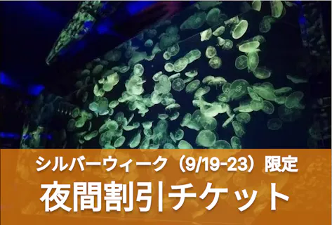 C 名古屋港水族館　夜間割引チケット（17:00-20:00）【指定期間限定 最大21％割引】