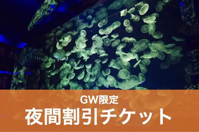 C 名古屋港水族館 夜間割引チケット（17:00-20:00）【指定期間限定