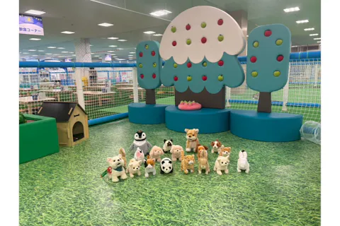 【休日・100円OFF】こども3時間遊び放題 キッズランドUS 福岡アイランドアイ店