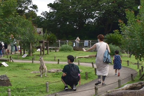 横浜 動物園の遊び体験 アソビュー 休日の便利でお得な遊び予約サイト