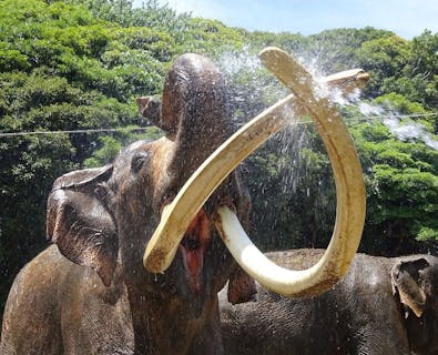 超特割！【最大10％割引】横浜市立金沢動物園 入園券 ※土曜日は小中高校生は無料