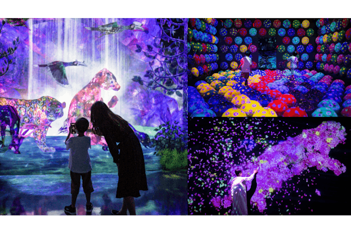 チームラボフォレスト 福岡 - SBI証券