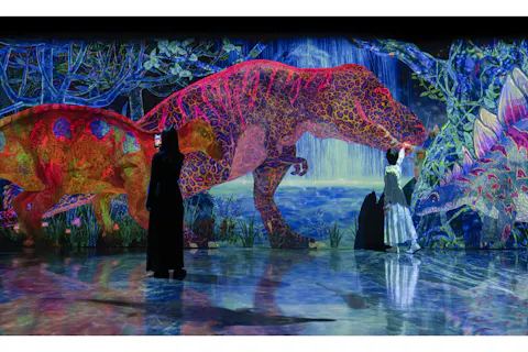 【最大500円割引】チームラボフォレスト＋V-World AREA 30分遊び放題 チケット