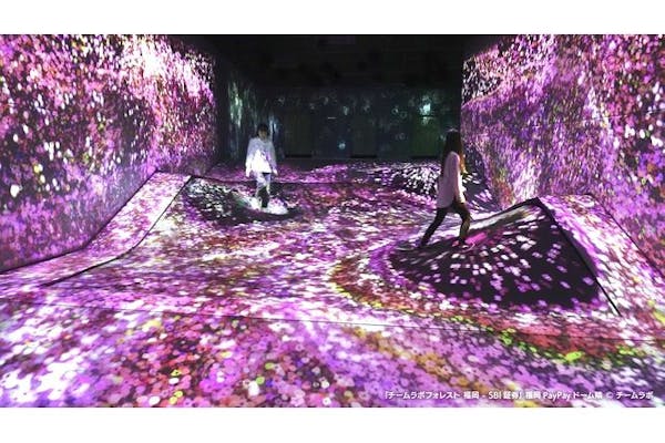 最大500円割引】チームラボフォレスト＋V-World AREA 30分遊び