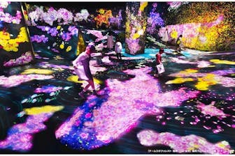 最大500円割引】チームラボフォレスト＋V-World AREA 30分遊び