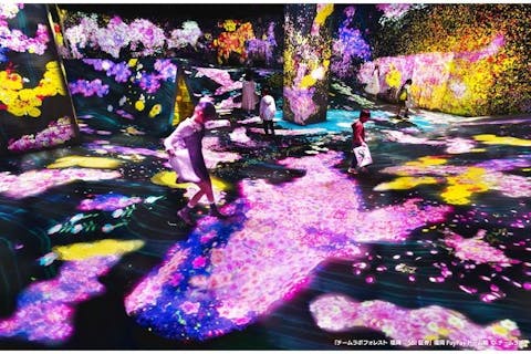 チームラボの新しいミュージアムで、アートに没入！チームラボフォレスト　入場チケット