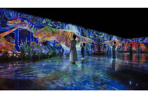 チームラボの新しいミュージアムで、アートに没入！チームラボフォレスト　入場チケット