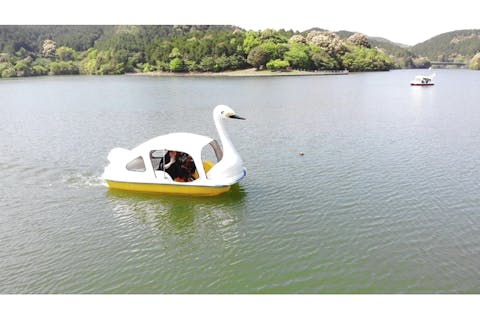 【最大100円割引】伊佐ノ浦公園　クーポン（レンタルボート30分）