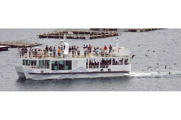 伊根湾めぐり遊覧船 電子前売り乗船チケット｜アソビュー！