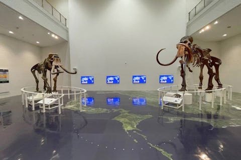 北海道博物館　【総合展示】入場チケット（日時指定）