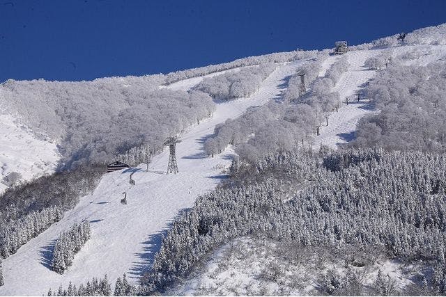 六日町八海山スキー場 リフト1日券 - スキー場