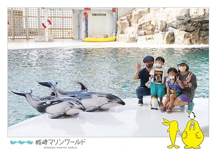 城崎 竹野 豊岡 おすすめ水族館まとめ 割引クーポンも充実 アソビュー