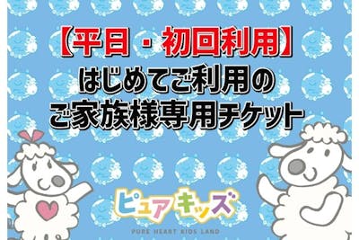 平日限定/初回利用限定】ピュアキッズ伏見桃山 大型室内公園 1日