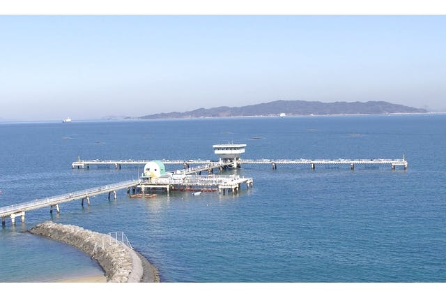 【最大20％割引】福岡市海づり公園　釣台使用クーポン