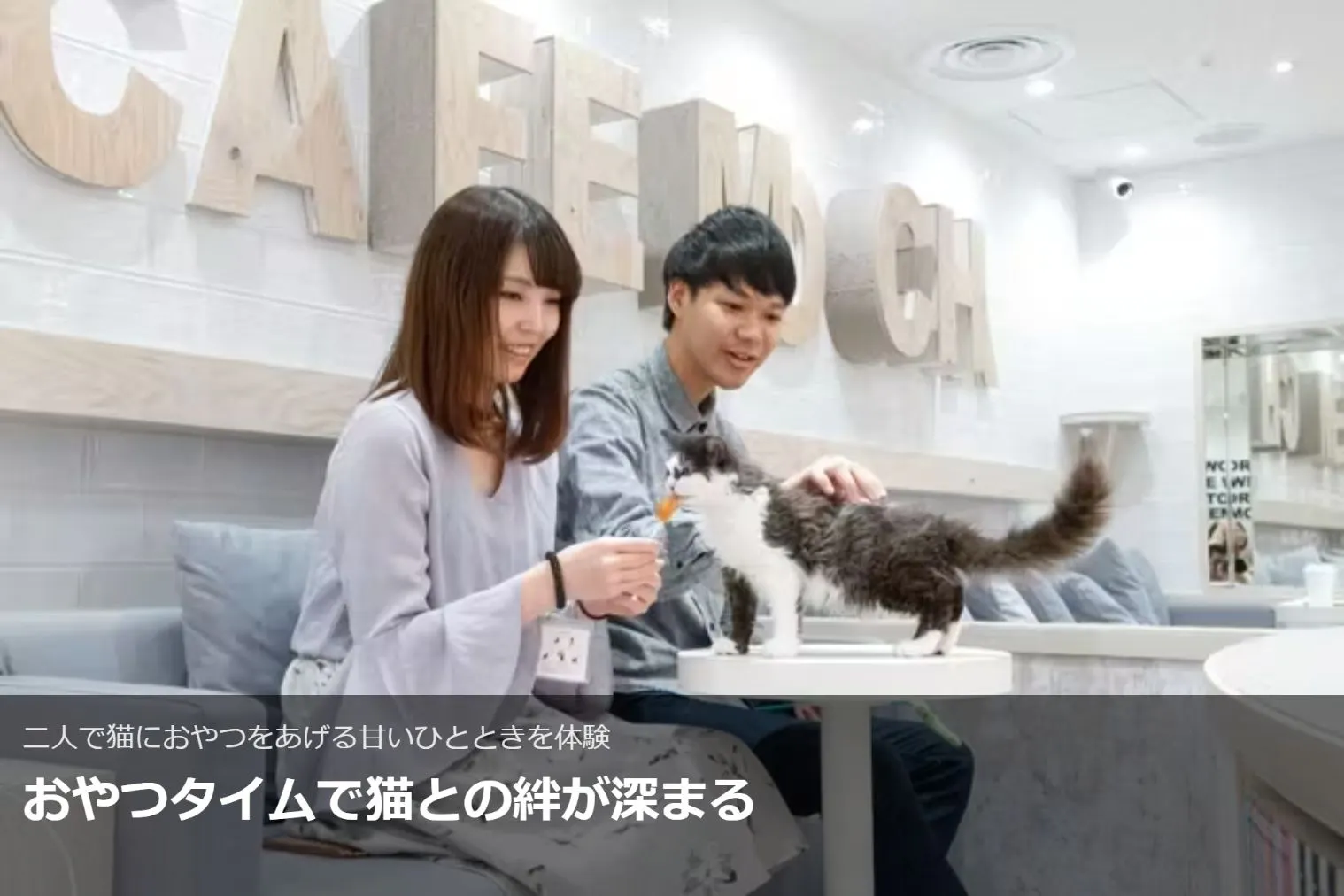 超特割！【平日・20％割引】猫カフェモカ 町田ジョルナ 入場チケット