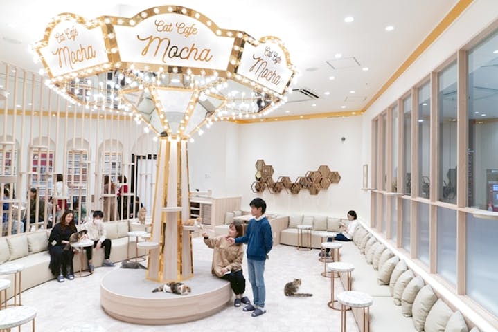 猫カフェモカ　イオンモール幕張新都心店