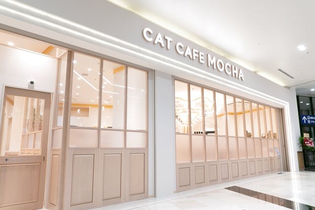 猫カフェMOCHA トレカ　幕張新都心 猫カフェMochaイオンモール幕張新都心店（千葉） (@mocha