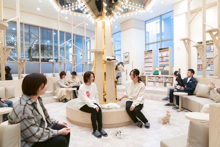 猫カフェモカ　イオンモール筑紫野店