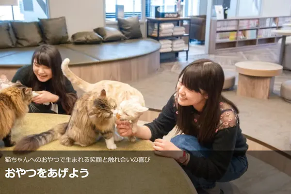 超特割！【20％割引】猫カフェモカ 渋谷公園通り 入場チケット