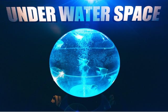 UWSアクアリウム UNDER WATER SPACE