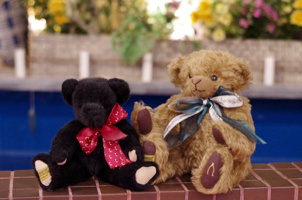 ぬいぐるみ　テディベア美術館　ベア　蓼科テディベア美術館　白樺湖畔　レア 蓼科テディベア美術館 入館チケット｜アソビュー！