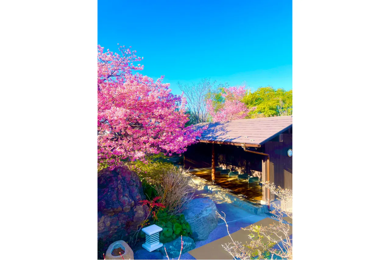 温活回数券(10回分)【平日限定】花湯スパリゾートで温活ライフ
