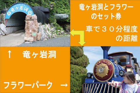【２施設セット券】はままつフラワーパーク・竜ヶ岩洞入場料　割引クーポン