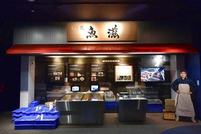 滋賀県立琵琶湖博物館 電子前売り常設展示観覧チケット｜アソビュー！