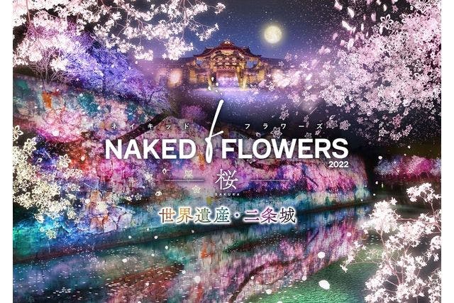 月～木限定】NAKED FLOWERS 2022 -桜- 世界遺産・二条城 前売券